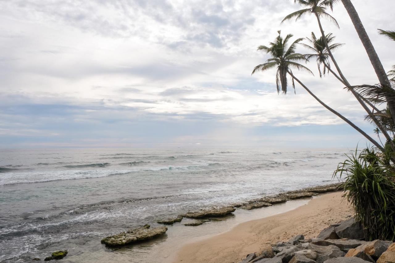Cosynsurf Bed and Breakfast Matara Exteriör bild